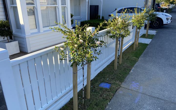 Already sporting camelias and a fence, the one metre wide strip has sparked debate