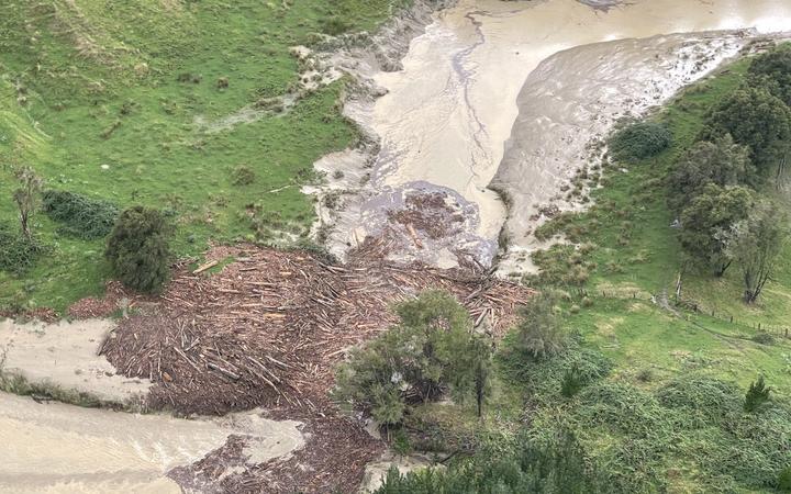 Forestry slash in a river north of the Anaura Bay turnoff on SH 35 near Gisborne 