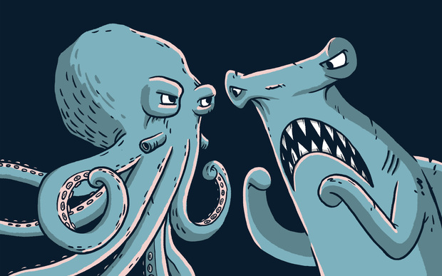 Octopus vs Shark | RNZ