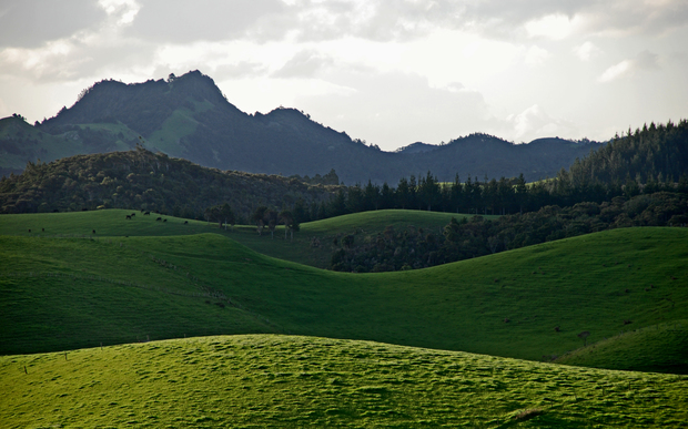 Rolling hills in the Northland region, New Zealand.