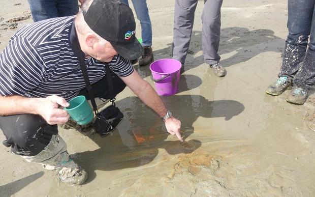 Greg Browne points to a newly discovered footprint.