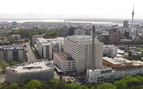 Auckland Hospital 
