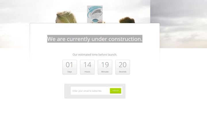 The Kiwi Studies website has gone "under construction".