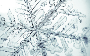 Branched star-shaped snow flake