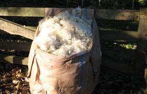 Fadge of wool