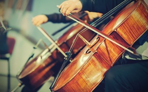 orchestra, generic, cellos, music 