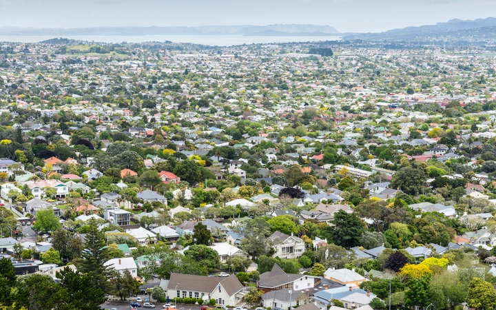 View from above of residential streets and houses   housing in Auckland. 