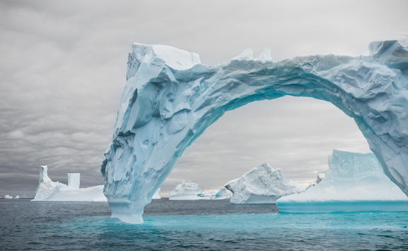 Iceberg Valentine