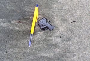 A clump of oil on Foxton Beach - 15 June 2015.