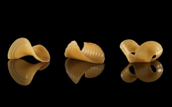 These pasta shapes were caused by immersing a 2D flat film into water 