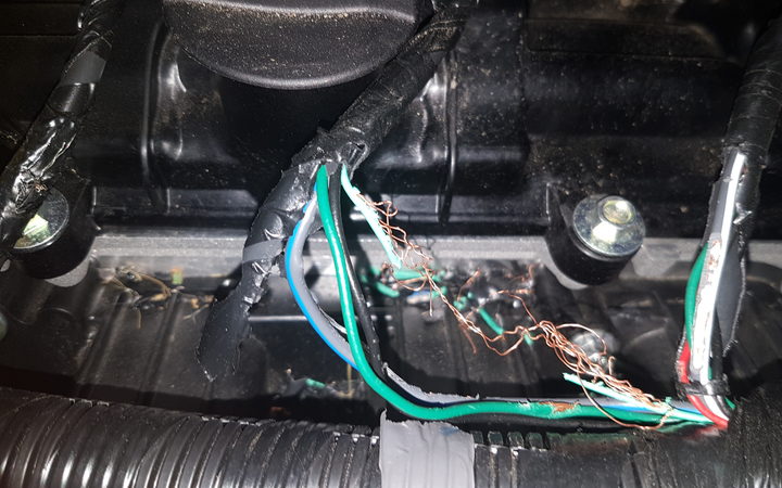 Rats! Vermin cause wiring woes for drivers | RNZ News