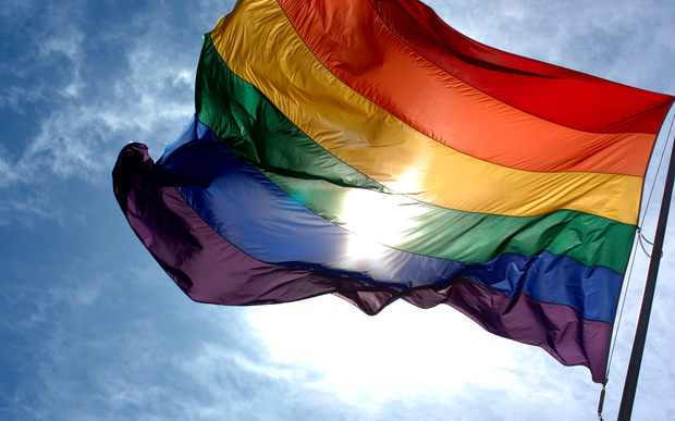 LGBT rainbow flag (file photo) 