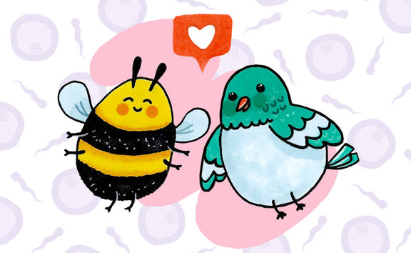 The Birds and The Bees. Illustration by Pinky Fang.