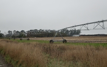 Some irrigation already takes place on Ruataniwha Plains.