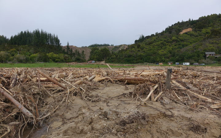 Forestry debris in Marehau in the Tasman District.