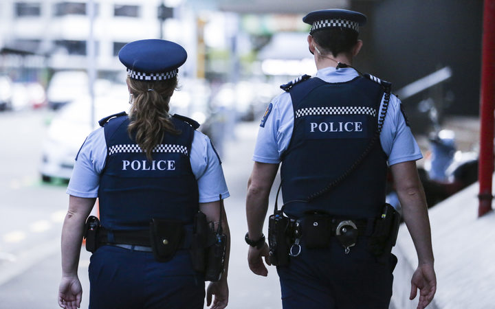 Police 'concerned at prevalence of firearms' in society | RNZ News