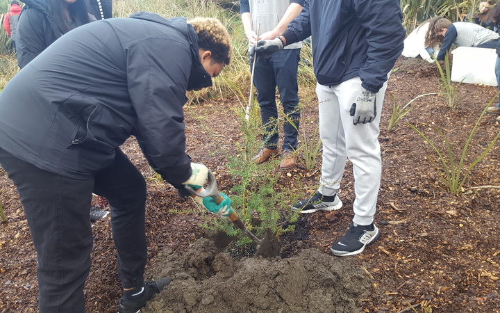 Christchurch's Student Volunteer Army and students from the Marjory Stoneman Douglas High School planting trees. 