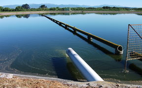 A water treatment pond in South Wairarapa