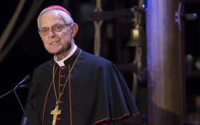 The report also criticised Washington DC Archbishop Cardinal Donald Wuerl, formerly of the Pittsburgh diocese, for his role in concealing the abuse.