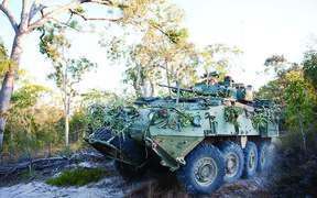 A New Zealand Defence Force tank driving through the bush.