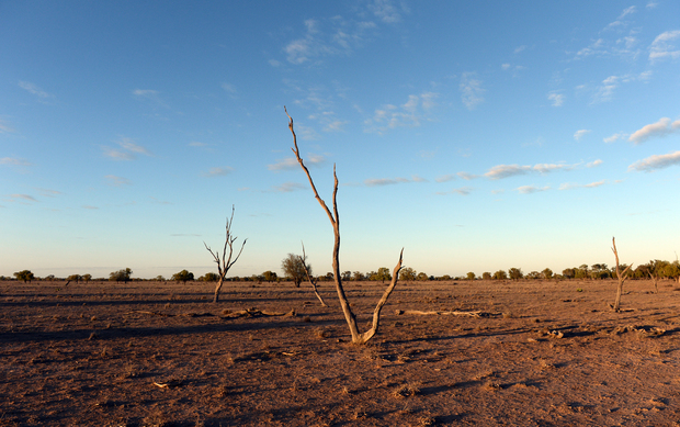 A dry paddock near Lightning Ridge, NSW, in August 2014.