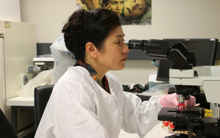 Dr Sue Huang at the World Health Organisation's National Influenza Centre in Wellington