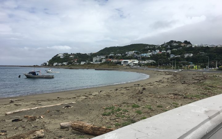 Wellington water infrastructure 'in crisis', councillor says - RNZ