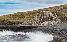 Basalt columns on the Chatham Islands