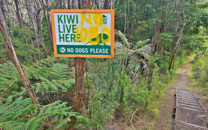 Signage vandalised in the forest.