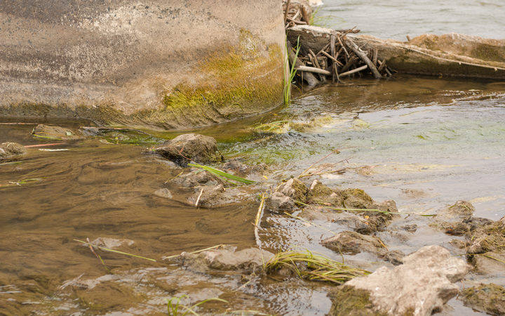 An example of algae clogging a river.