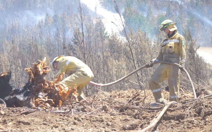 Firefighters tackle fire in Moutere North Forest in north-eastern sector of fire zone near Nelson. 