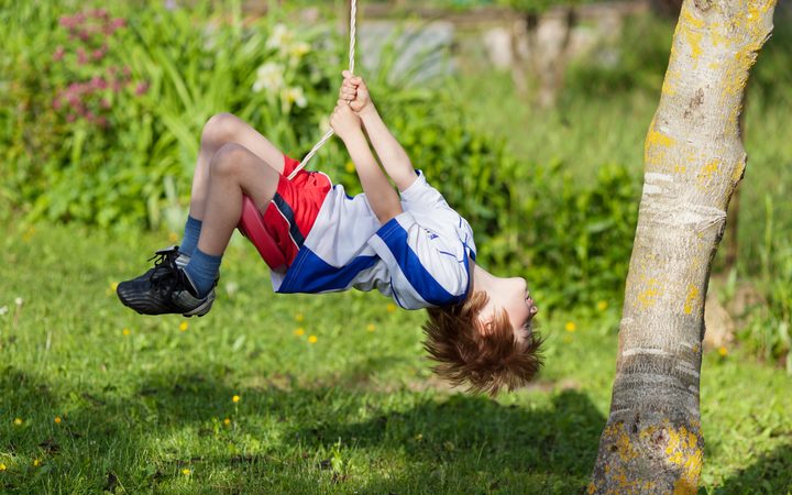 Little boy on a swing in the park.
