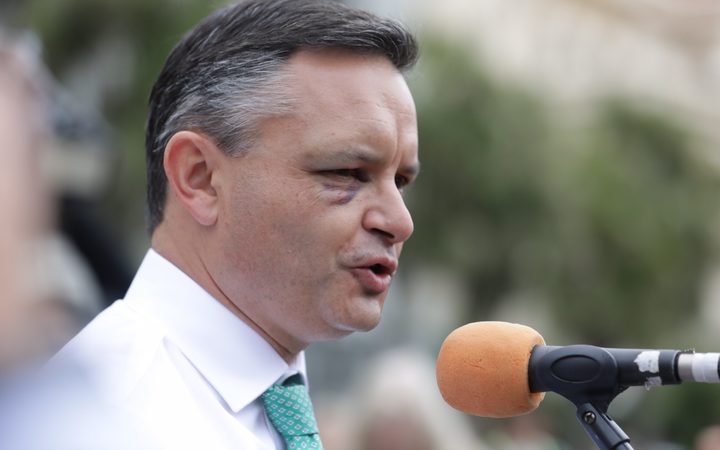 Greens Party co-leader James Shaw turned out for the schools' climate change strike, despite being injured in an attack the day prior.