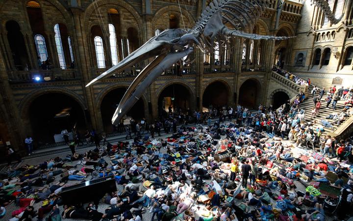 Extinction Rebellion climate change activists perform a mass "die in" under the blue whale in the foyer of the Natural History Museum.