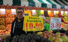 Avocados for sale at $10.99 each in Jack Lum's Auckland greengrocery.