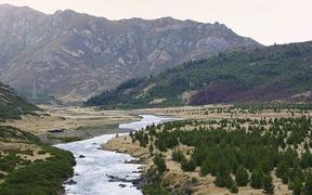High-country farmland invaded by exotic pine trees, Clarence River, near Hanmer Springs.