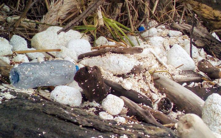 Plastic and other debris at Port Waikato.