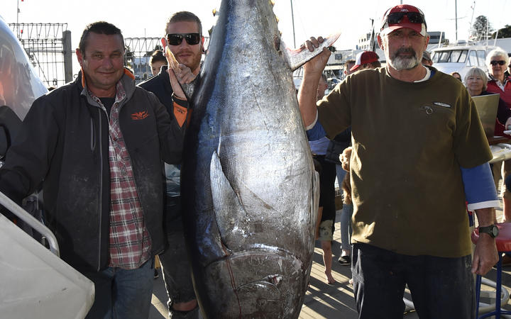 John Ballard, Matt Peters and Graeme McKaywith the 156.85kg blufin tuna.
