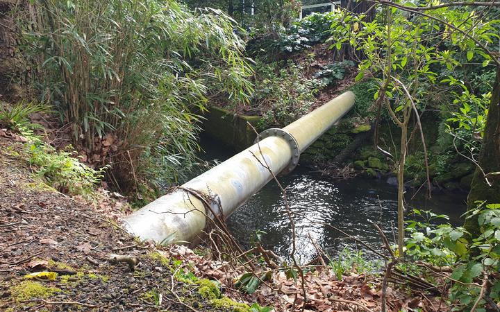 An exposed pipe over the Huatoki River.