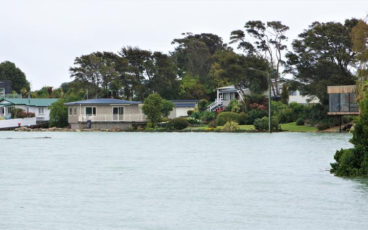 High tide in suburban Nelson.