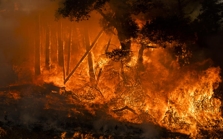 Fire burns along a hillside during firefighting operations to battle the Kincade Fire in Healdsburg, California on 26 October, 2019. 