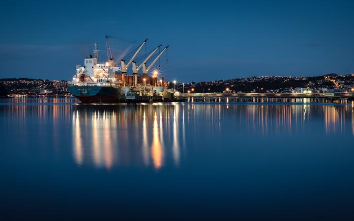 Dunedin's harbour at dawn.