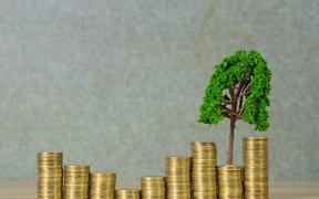 Tree growing on pile of golden coins, growth business finance investment and Corporate Social Responsibility or CSR practice and sustainable development concept idea.