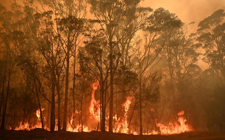 A bushfire burns in the town of Moruya, south of Batemans Bay, in New South Wales on January 4, 2020. 