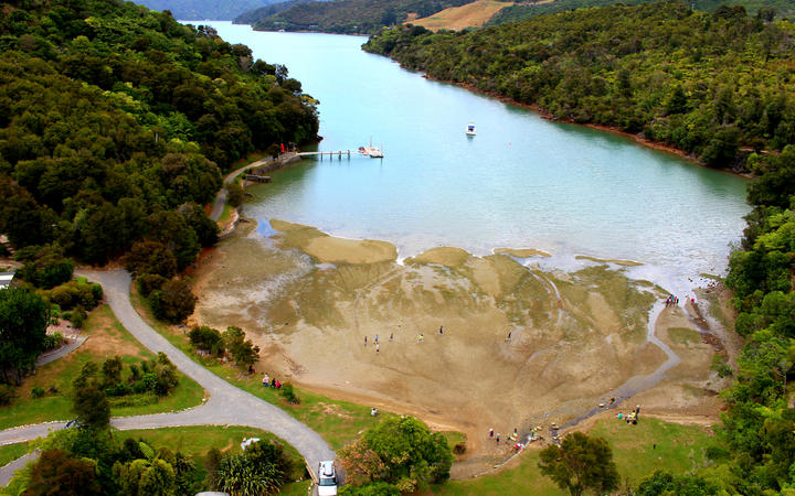 Mistletoe Bay