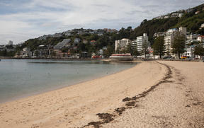 Wellington's Oriental Bay during the Covid-19 alert level four lockdown.