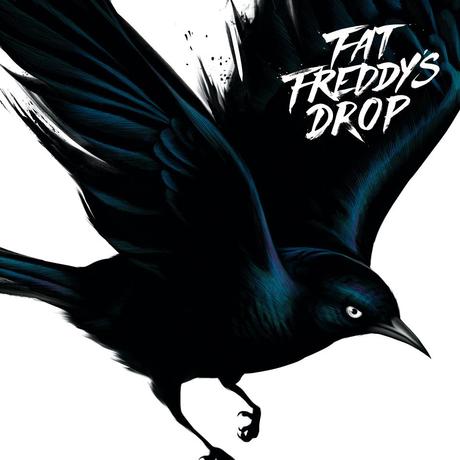 Fat freddys drop blackbird