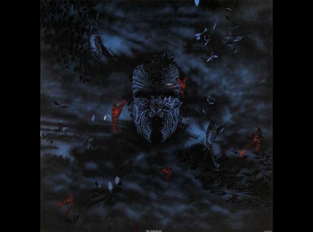 Cotton The Hanging Sky media