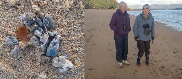 A pile of regurgitated stones that includes a piece of glass and a parasitic nematode worm, and Rosemary Jorgenson and Helen Kingston