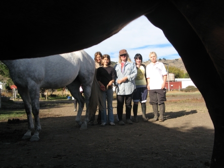 angel horses group pic